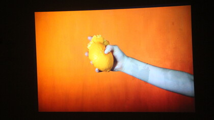 Tamar Ettun, Its Not a Question of Anxiety, 2014.