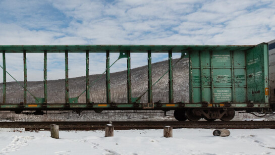 Stephen Mallon. Courtesy of Front Room Gallery