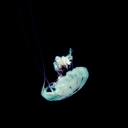 De lo simple a lo complejo