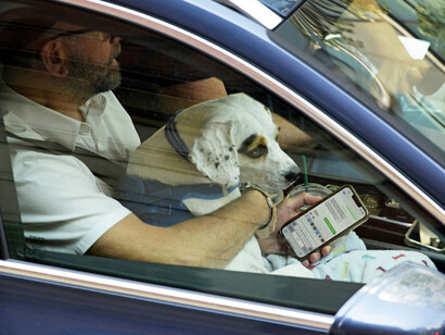 Arne Svenson, Traffic #13 (detail), 2025. Courtesy of Contemporary Art Matters