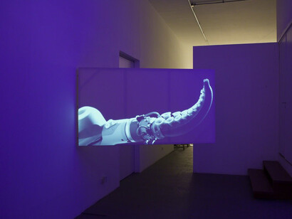 Towards the last Unicorn. Courtesy of 55SP	
