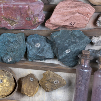 Woodwardian Collection. Courtesy Sedgwick Museum