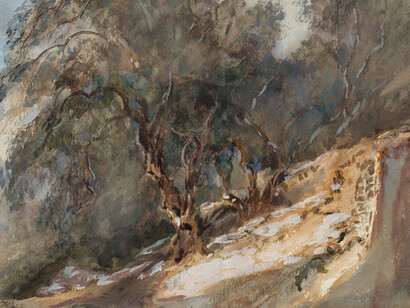 Trees with knotty trunk, not dated. Barbara Leigh Smith Bodichon (1827–1891). Watercolor on paper, 14 3/4 × 8 13/16 inches. Delaware Art Museum, Acquisition Fund, 2017.
