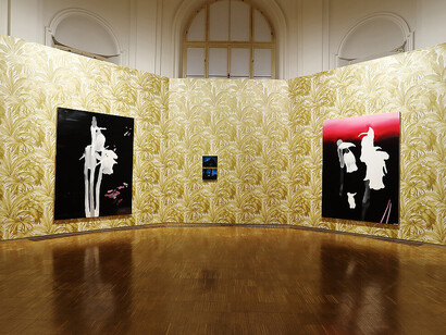 Markus Huemer, A football pitch must be free from trees, exhibition view. Courtesy of Neue Galerie Graz