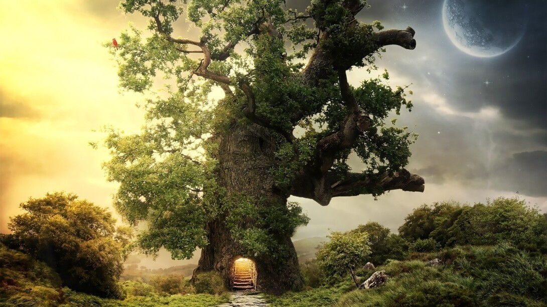 La quercia incantata
