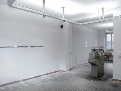 Jacana’s frontal shield or frontal as shields are frontal. Courtesy of The Workbench