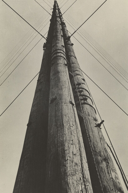 Shape of Light. Courtesy of Tate Modern
