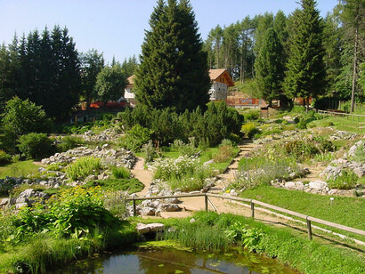 Giardino botanico alpino Viote di Monte Bondone