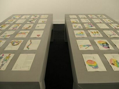 Re–generation, 2012, installation view at Macro Testaccio, Roma.