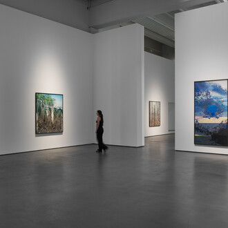 Philipp Fürhofer, Idyll and apocalypse, exhibition view. Courtesy of Galerie Judin 