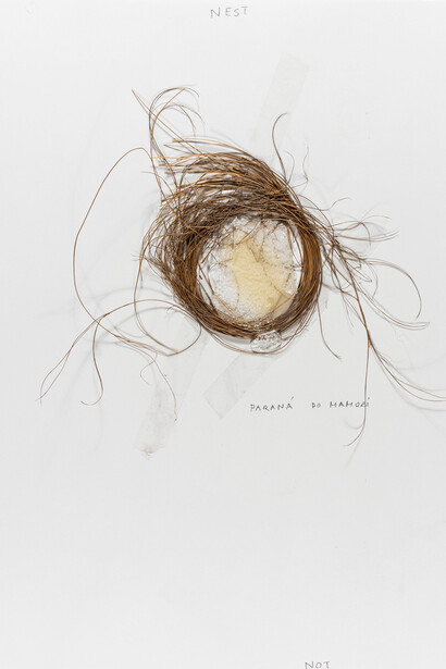 Not Vital
Nest
2018
Straw, silicone, tape and pencil on paper
43.2 x 35.6 cm / 17 x 14 in
© Not Vital
Courtesy of the artist and Hauser & Wirth
