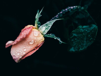 L’imprevedibilità della morte ci ricorda la fragilità della vita e l'importanza di vivere ogni momento con pienezza