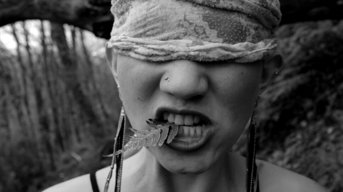 Amanda Lee Silver, Still from "Homeland," 2016, Photograph, 5 x 8 inches. Courtesy of Dedalus Foundation