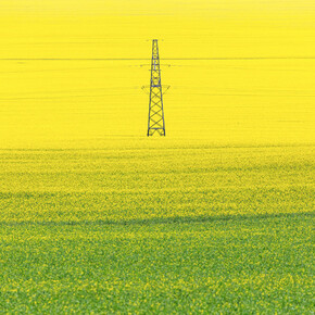 Water & Earth. Courtesy of Blue Lotus Gallery