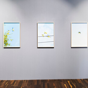 Yoshinori Mizutani. Courtesy of Christophe Guye Galerie