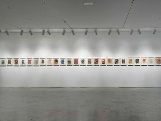 Drew Heitzler, Installation View, 2013