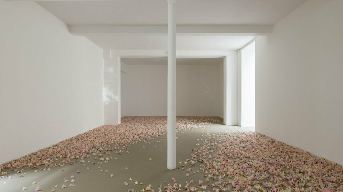 Allora & Calzadilla, exhibition view. Courtesy of the artist and Galerie Chantal Crousel 