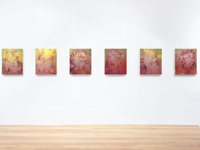 Martina Cinotti, Linfa, exhibition view. Courtesy of L.U.P.O.