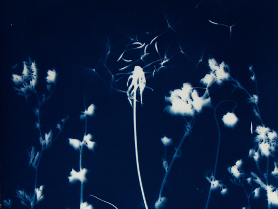 Pipo Nguyen-duy, Untitled L28, 1998. Courtesy of ClampArt