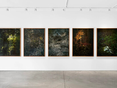 Edo Costantini, Delfina Braun and Delfina Muniz Barreto, Winter solstice: seeds of nothingness, exhibition view. Courtesy of Praxis 