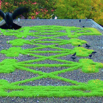 Marinus Boezem. Courtesy of Galleria Fumagalli