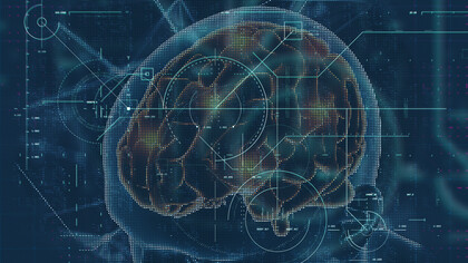 Le cerveau réduit à un code numérique, loin de sa complexité organique