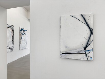 Sophia Schama, S 5925, ausstellungsansicht. Mit freundlicher genehmigung der Galerie Rupert Pfab