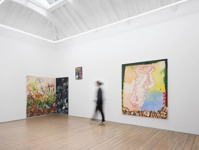 Dale Lewis, Lost illusions, exhibition view. Courtesy of Edel Assanti