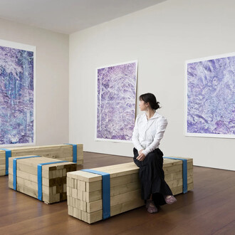 Justin Brice Guariglia, Agentic forests, exhibition view. Courtesy of Flowers Gallery