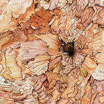 Out of the Woods. Courtesy of The Huntington