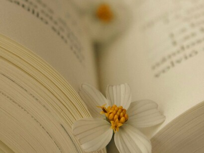 Em Pessanha, os símbolos possuem uma espécie de “aura luminosa”; eles revelam que as modalidades do espírito são ao mesmo tempo manifestações da vida e, por conseguinte, envolvem directamente a existência humana, pois traduzem uma situação humana em termos cosmológicos. Mais precisamente, revelam o vínculo existente entre as estruturas da existência humana e as estruturas cósmicas