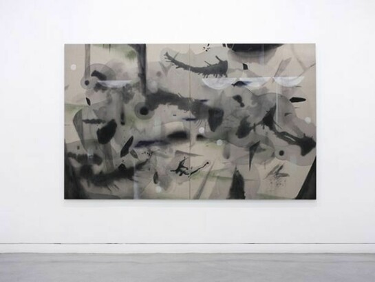 Shinpei Kusanagi, so far so close, Installation views
