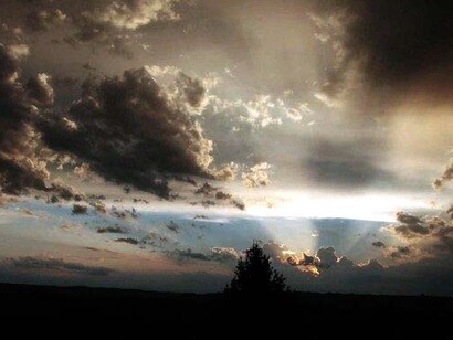 Ognuno di noi possiede una profonda e innata saggezza e oggi è il tempo di onorarla, concedendoci di rallentare e di darci il tempo per recuperare energia