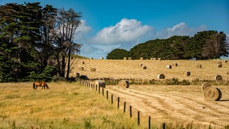 View of an Australian farm