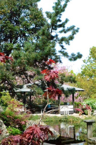 L'Orto Botanico di Roma