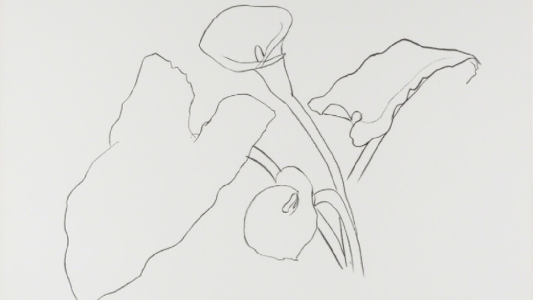 Ellsworth Kelly. Courtesy of Leslie Sacks Gallery