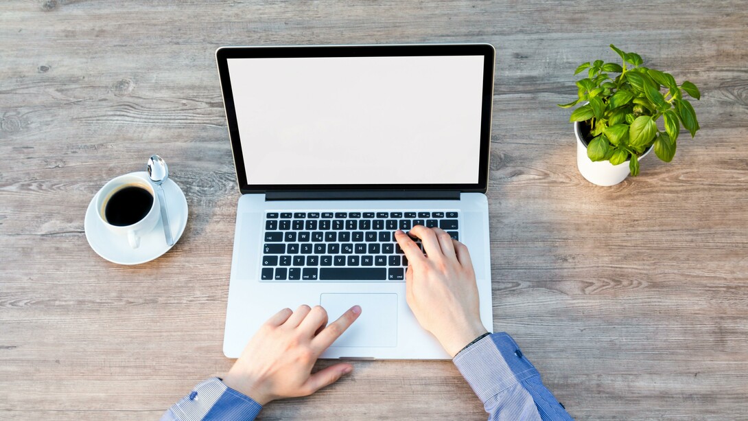Laptop next to a cup of coffee and a basil plant