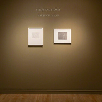 Harry Callahan. Courtesy of Pace/MacGill Gallery