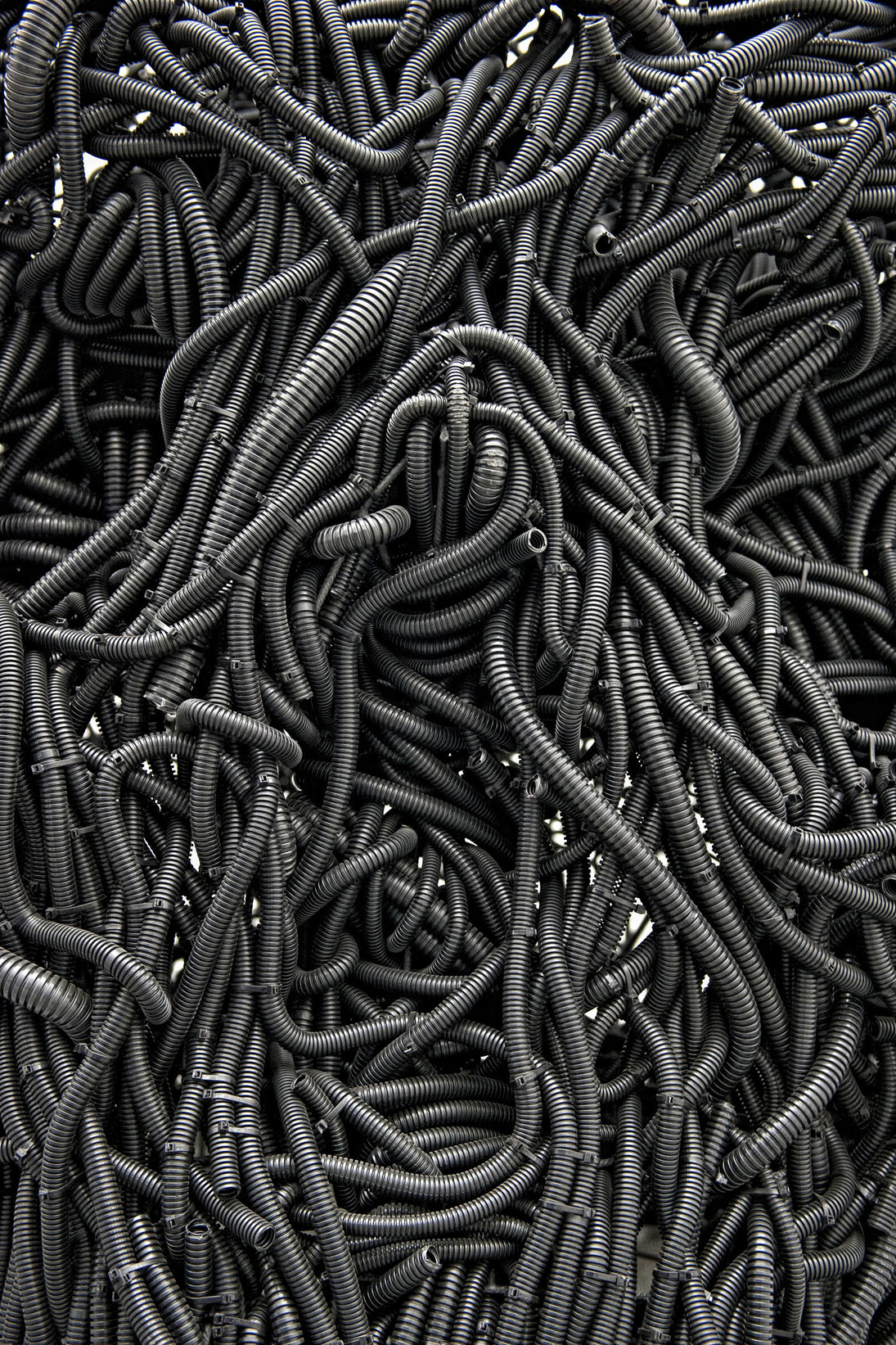 Paolo Grassino, Ciò che resta,particolare, 2013, tubo corrugato in forassite e ferro 