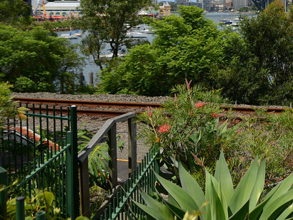 Está ubicado al norte de la ciudad, cruzando el puente, a muy pocos minutos del centro, por lo que es una escapada perfecta para frenar un poco y conectar con un lado más calmo de Sídney. El jardín secreto de Wendy Whiteley, Sídney, Australia
