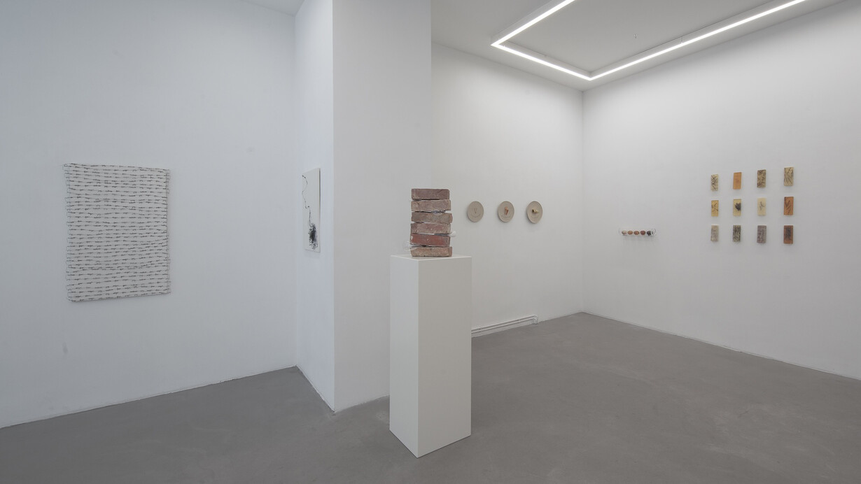 Xuejing Wang, Antifragile, exhibition view. Courtesy of Galerie Russi Klenner