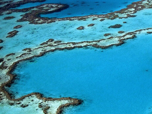 Le barriere coralline sono da anni sotto osservazione 