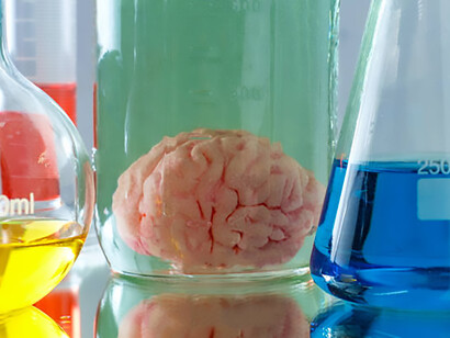 Preserved brain specimen in a sealed jar—reminder of how far neuroscience has come, from studying full brains to growing conscious-like organoids in petri dishes