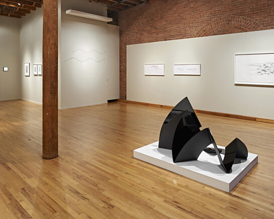 Expanding the Line: Drawing, Video, and Sculpture. Courtesy of Cecilia de Torres, Ltd.
