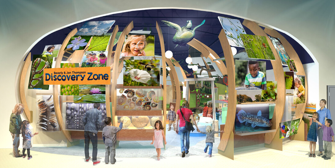 Discovery Zone. Courtesy of Florida Museum of Natural History