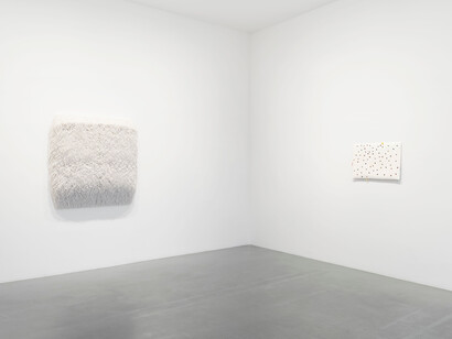 Paola Pivi, Live again, vue de l'exposition. Avec l'aimable autorisation de Perrotin