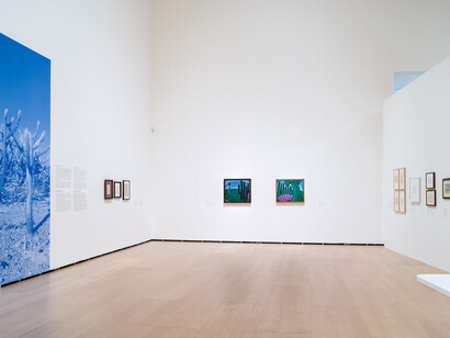 Tarsila do Amaral, Peindre le Brésil moderne, vue d'exposition. Avec l'aimable autorisation du Guggenheim Bilbao