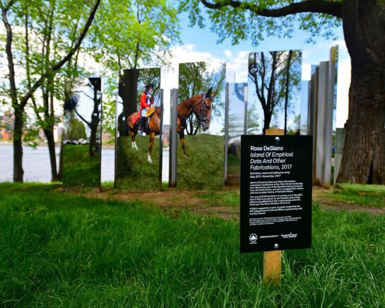 Island of Empirical Data and Other Fabrications. Courtesy of Bronx Museum of the Arts 