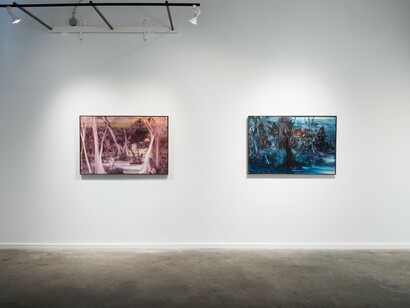 Dax van Aalten, Incidental meditations, exhibition view. Courtesy of Red Arrow Gallery