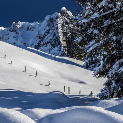 Winterlight, ph. by M. Stillwater